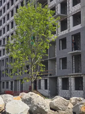 Фото со стройки  за Сентябрь, 2024